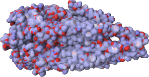The nicotinic acetylcholine receptor